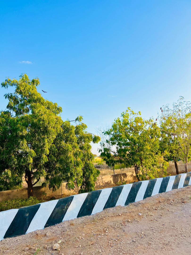 Trees and gardens