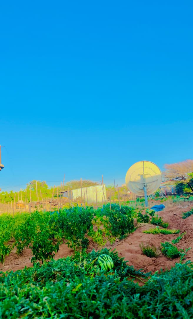 Garden view